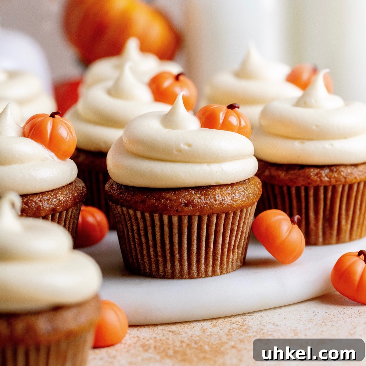 featured 14265