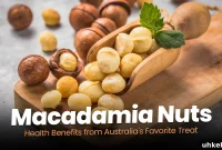 Macadamia Nuts Nutrition Facts and Health Benefits of Australia’s Superfood