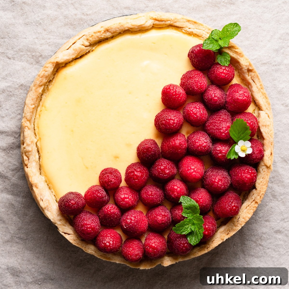 featured 4562