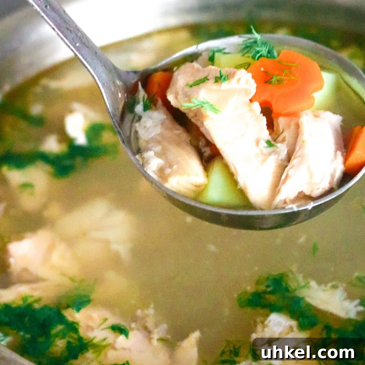 Authentic Ukha Fish Soup Recipe: Clear Russian Fisherman’s Broth 11 fish soup in sauce pan with a ladle full of soup