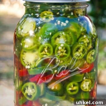 fermented jalapeno slices in mason jar | how to lacto-ferment jalapeno peppers