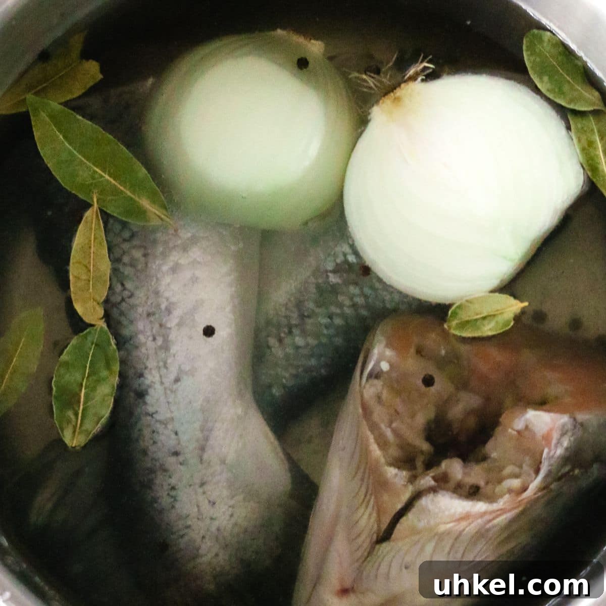 Authentic Ukha Fish Soup Recipe: Clear Russian Fisherman’s Broth 6 uncleaned fish in water with onions and bay leaves inside of steal bowl
