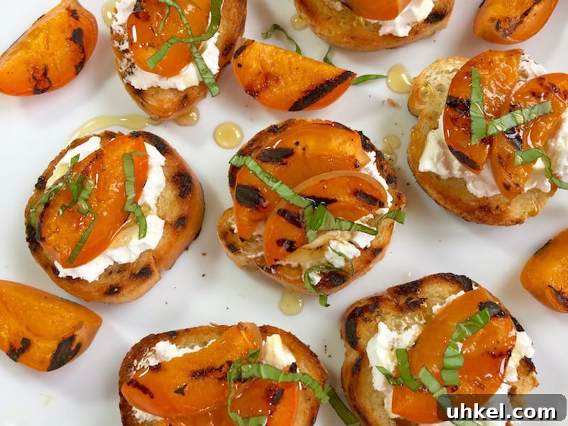 97 Crowd-Pleasing Appetizer Ideas for Parties and Gatherings 12 easy apricot and honey crostini appetizer