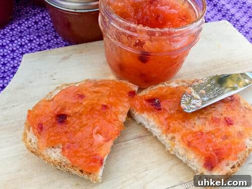 Cranberry Mandarin Jam: Festive Christmas Preserves Recipe 2 cranberry mandarin jam on toast