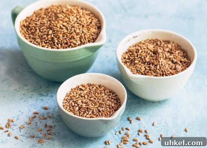 Wheat Berry Salad with Mixed Berry Vinaigrette Recipe 3 three bowls of varying sizes of uncooked wheat berries on a light blue background.