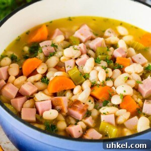 A pot of ham and beans garnished with parsley.