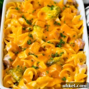 Ham casserole with egg noodles and broccoli, topped with melted cheese.
