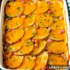 A casserole dish of scalloped potatoes and ham, topped with melted cheese and parsley.