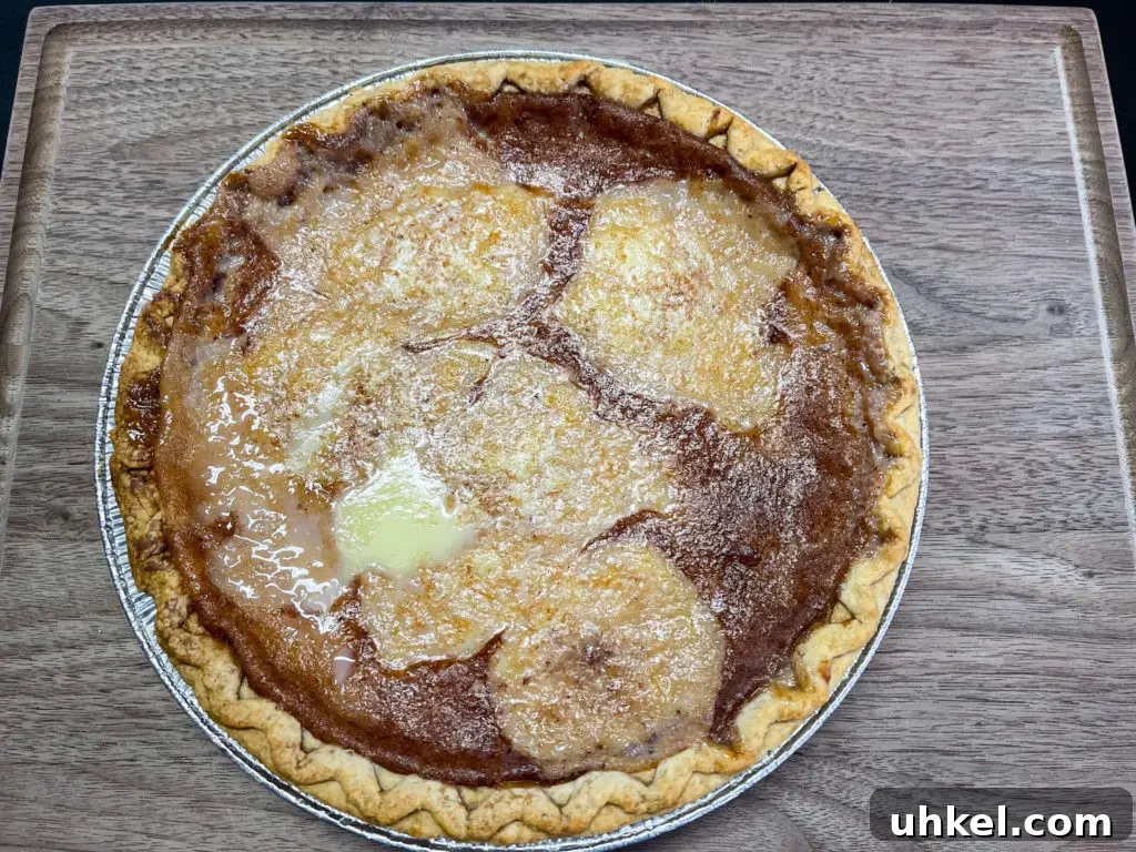 Classic Vintage Water Pie Recipe: Simple Southern Dessert 2 img 11301 1