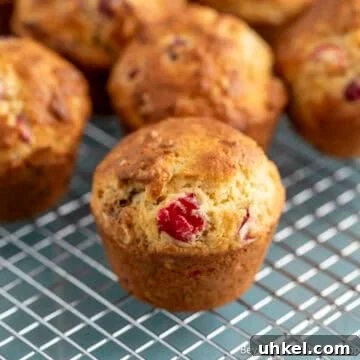 Cranberry Nut Muffins on a baking rack.