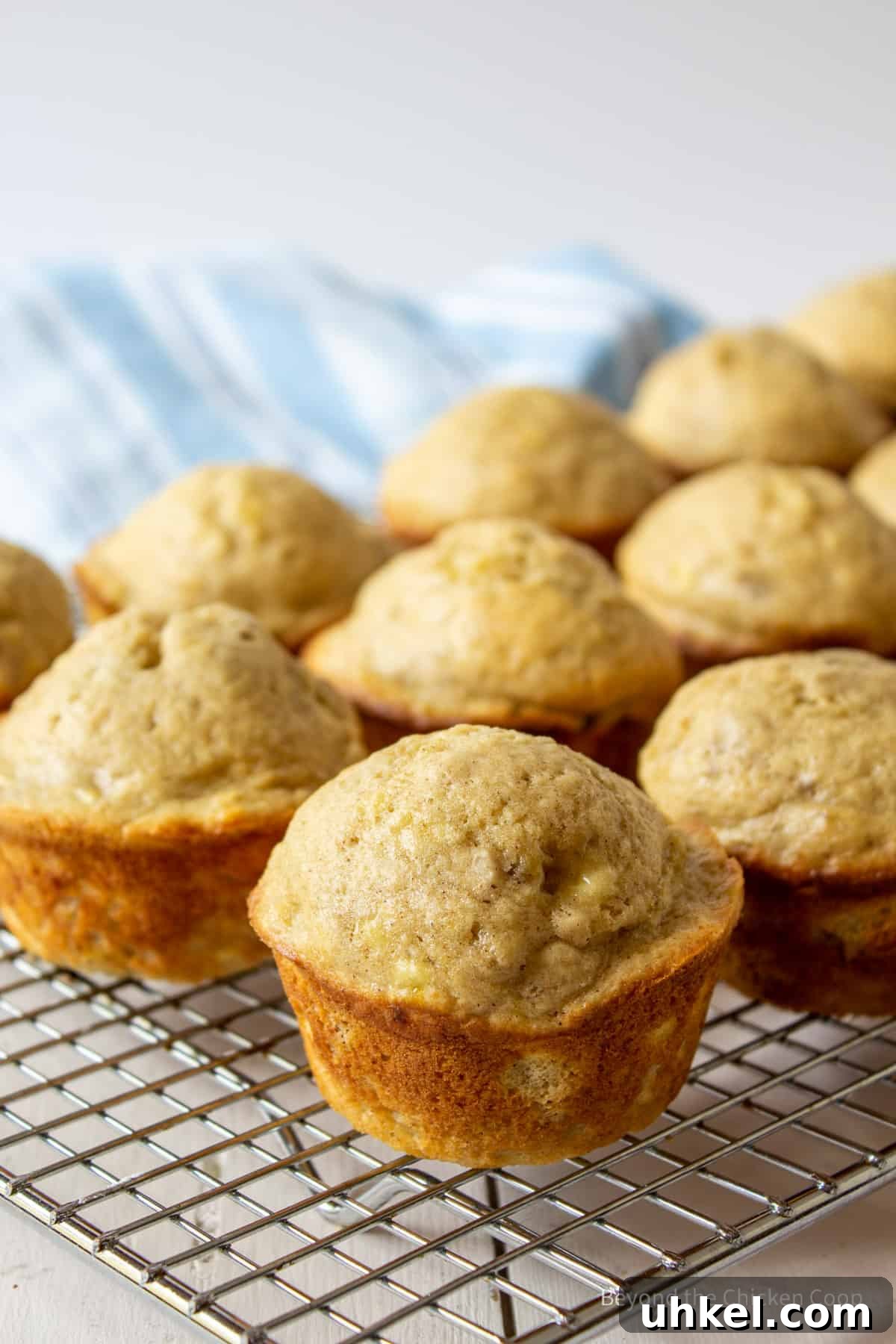 Moist Banana Walnut Muffins with Cinnamon Streusel 9 Muffins on a cooling rack.