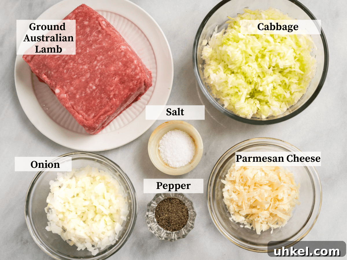 Ground Lamb Stuffed Buns Recipe – Savory Meat-Filled Bread 5 Ingredients used to make Lamb meat buns including ground lamb, onion, cabbage, salt, pepper, and parmesan cheese