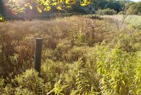 Martha’s Vineyard Weekend Getaway Guide: Top Things to Do