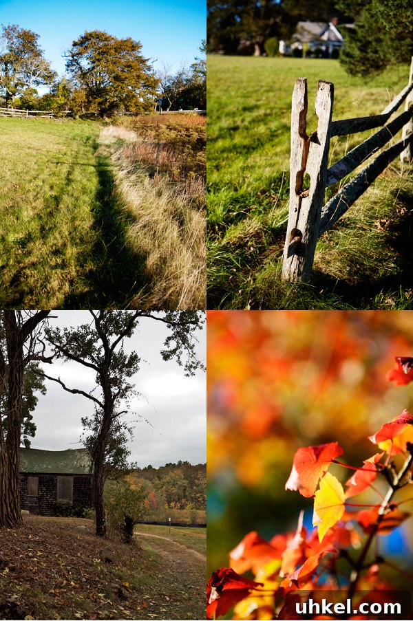 Martha's Vineyard Weekend Getaway Guide: Top Things to Do 11 img 11597 10