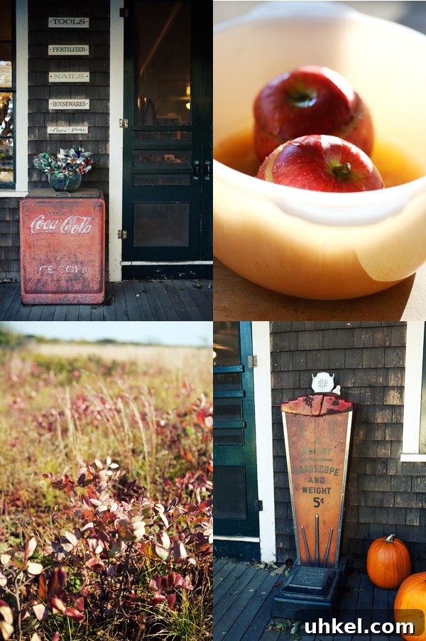 Martha's Vineyard Weekend Getaway Guide: Top Things to Do 12 img 11597 11