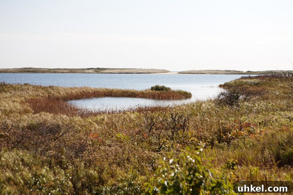Martha's Vineyard Weekend Getaway Guide: Top Things to Do 13 martha vineyard getaway weekend