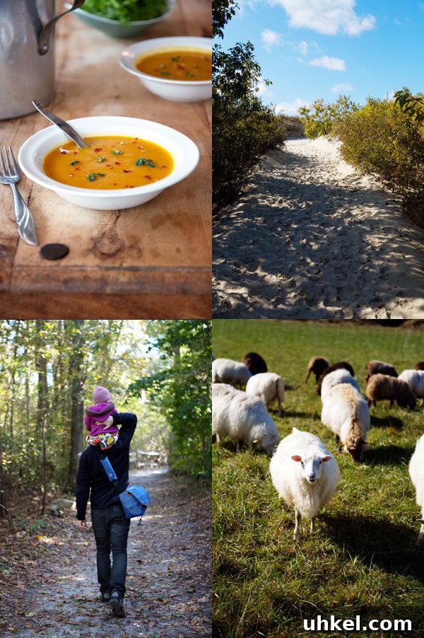 Martha's Vineyard Weekend Getaway Guide: Top Things to Do 15 img 11597 14