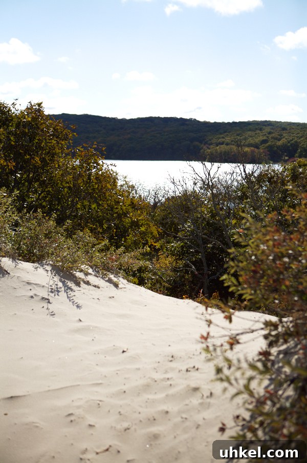 Martha's Vineyard Weekend Getaway Guide: Top Things to Do 16 img 11597 15