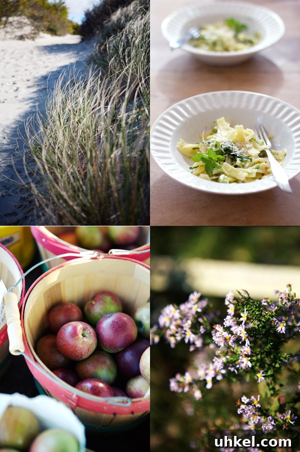 Martha's Vineyard Weekend Getaway Guide: Top Things to Do 19 img 11597 18