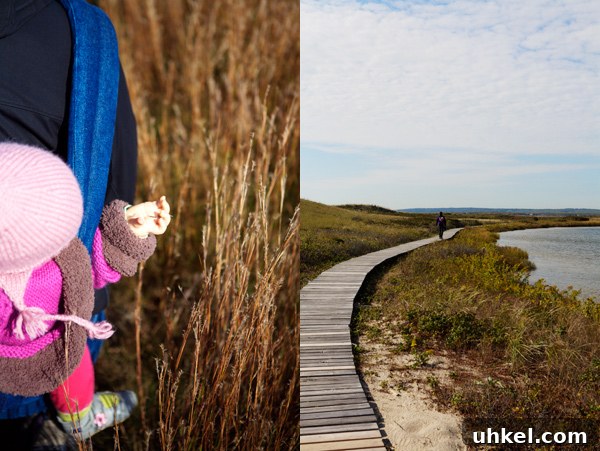 Martha's Vineyard Weekend Getaway Guide: Top Things to Do 3 img 11597 2