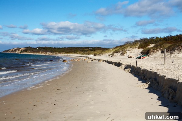 Martha's Vineyard Weekend Getaway Guide: Top Things to Do 4 img 11597 3