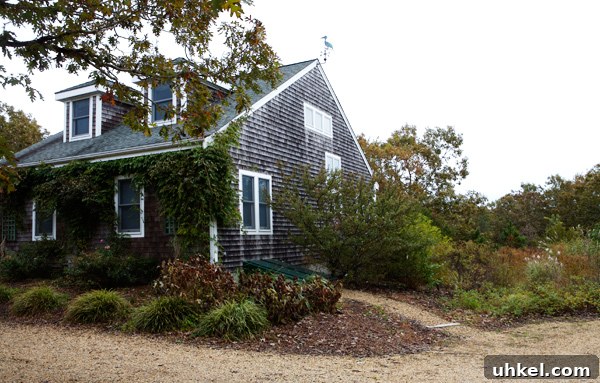 Martha's Vineyard Weekend Getaway Guide: Top Things to Do 6 img 11597 5