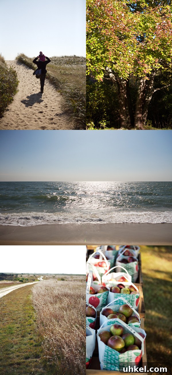 Martha's Vineyard Weekend Getaway Guide: Top Things to Do 10 img 11597 9