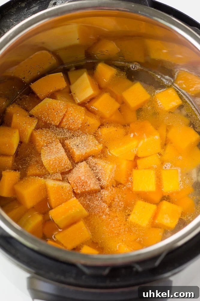 Creamy Instant Pot Butternut Squash Soup Recipe 5 butternut squash chopped in an instant pot with water