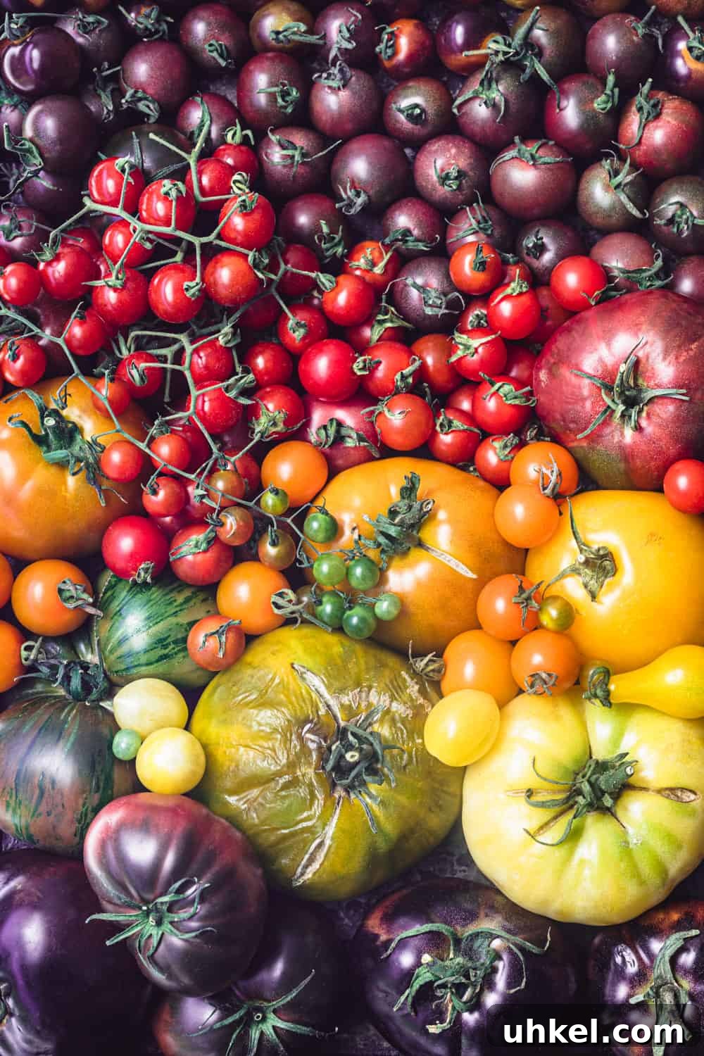 Ultimate Tomato Galette Recipe You’ll Make Again and Again 3 red, orange, yellow, green and purple fresh and whole tomatoes arranged like a rainbow.