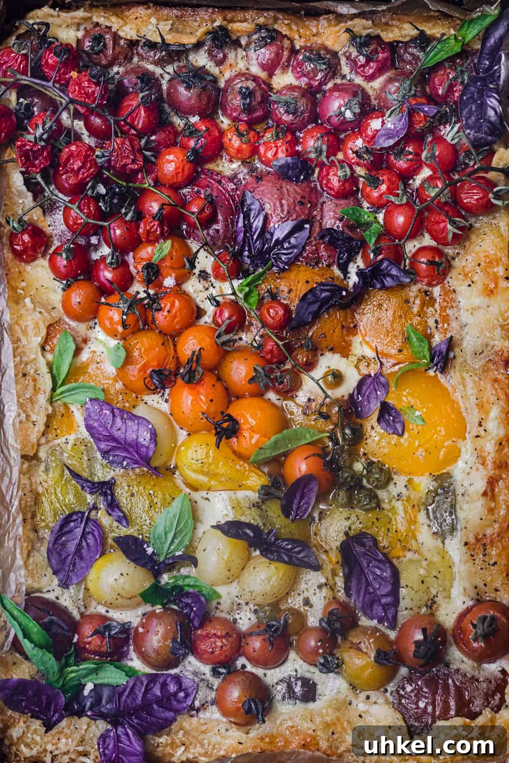 Ultimate Tomato Galette Recipe You’ll Make Again and Again 7 a very colorful tomato galette topped with purple and green basil.