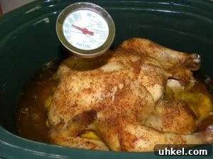 Slow-Cooked Pulled Chicken with Savory Dry Rub 2 Slow cooked rubbed chicken