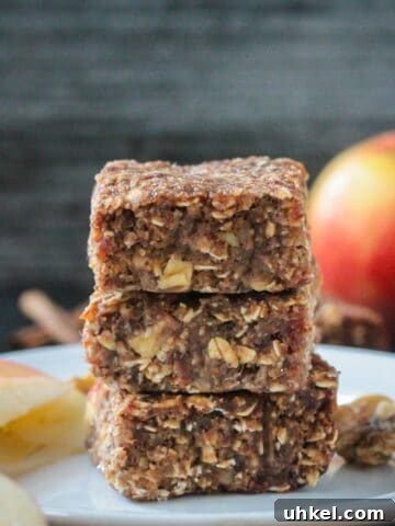 Stack of three apple oat date bars on a white plate.