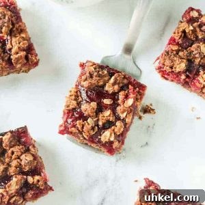 Vegan Cranberry Oat Crumble Bars Recipe for Winter Baking 11 One slice on a metal spatula.