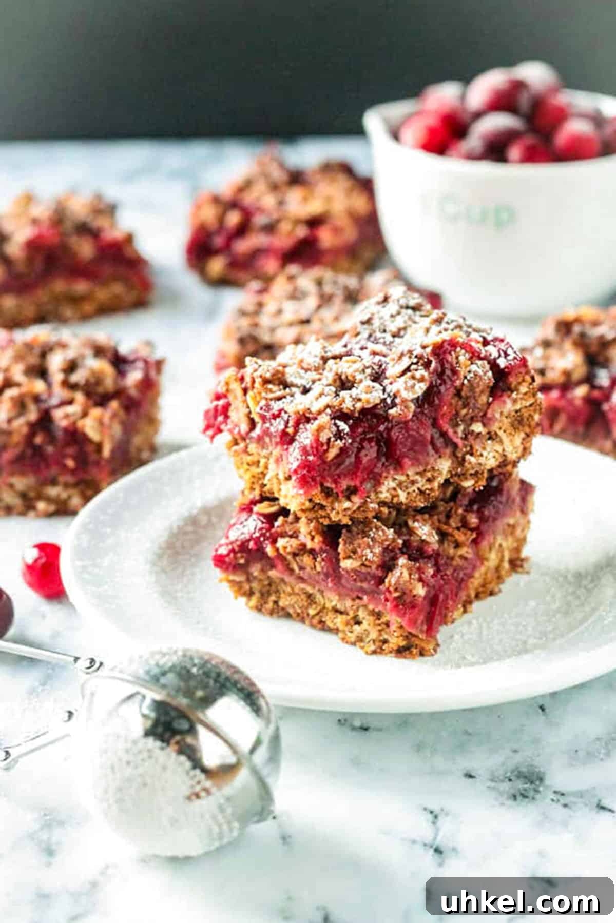 Vegan Cranberry Oat Crumble Bars Recipe for Winter Baking 6 Stack of two cranberry oat crumble bars dusted in powdered sugar.