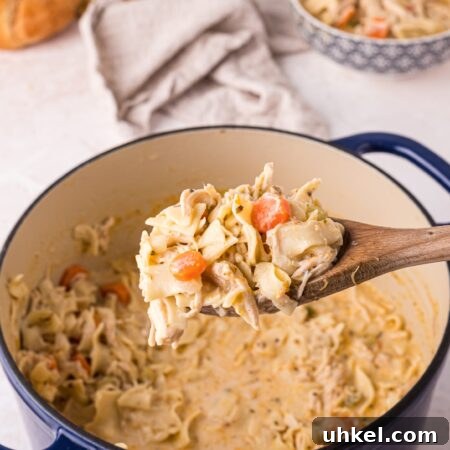 Creamy Chicken Noodle Soup