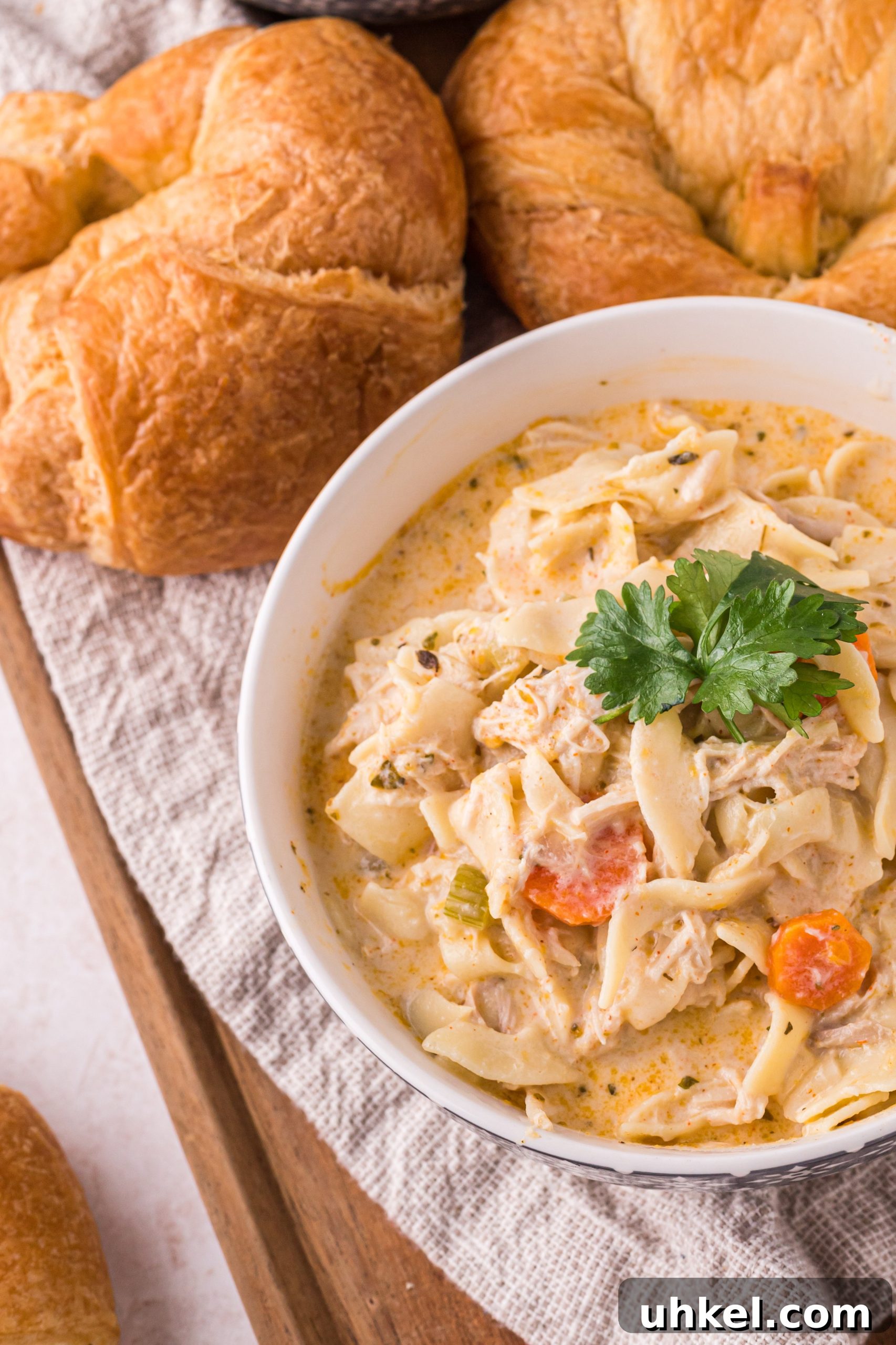 Creamy Homemade Chicken Noodle Soup Recipe for Comforting Meals 9 Pasta options