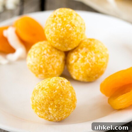 Coconut Apricot Energy Bites: No-Bake Snack Recipe 2 Coconut Apricot Bites