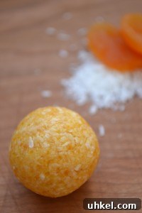 Coconut Apricot Bites Coconut Apricot Bites