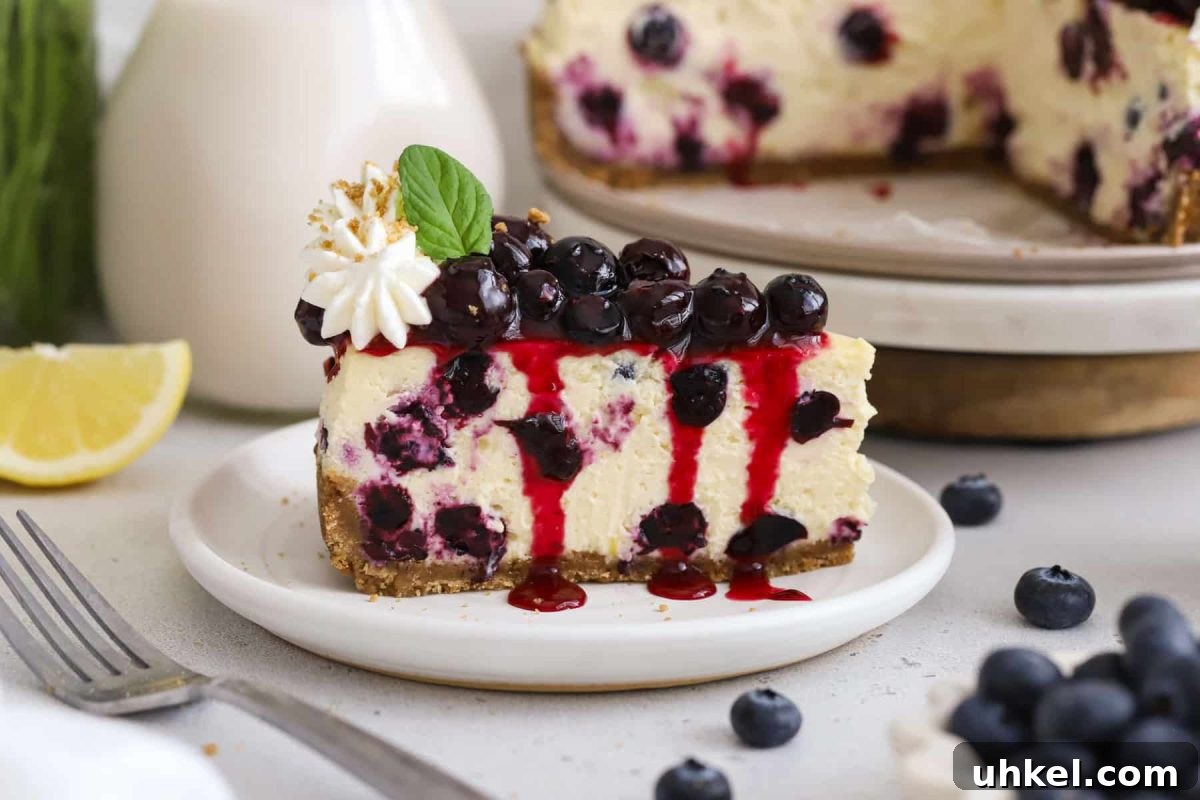 Gluten-Free Blueberry Cheesecake Recipe with Creamy Filling 12 slices of gluten-free blueberry cheesecake with whipped cream and fresh blueberry topping