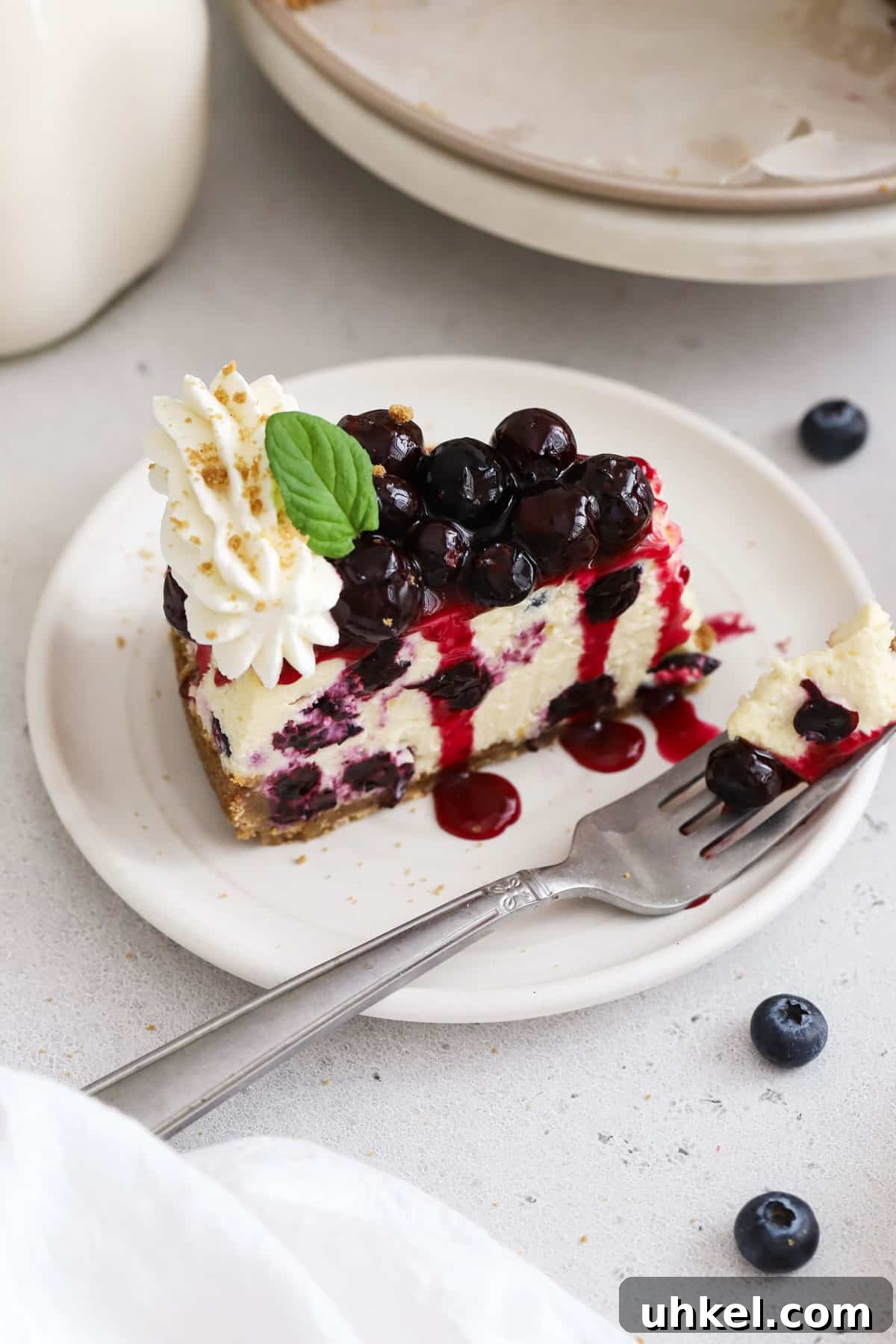 Gluten-Free Blueberry Cheesecake Recipe with Creamy Filling 8 a slice of gluten-free blueberry cheesecake on a white dessert plate