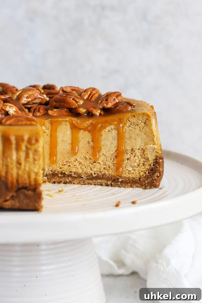 Gluten-Free Blueberry Cheesecake Recipe with Creamy Filling 10 front view of gluten-free pumpkin cheesecake with a few slices out of it