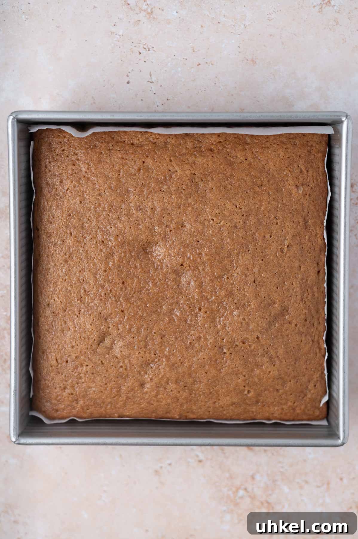 Apple Cider Snack Cake with Tender Apples 7 baked cake in a parchment lined 9x9 pan