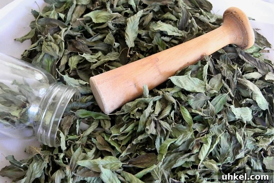 How to Grow and Dry Mint Leaves for Perfect Tea 4 A jar and a wooden pounder sitting in a pile of dried mint leaves