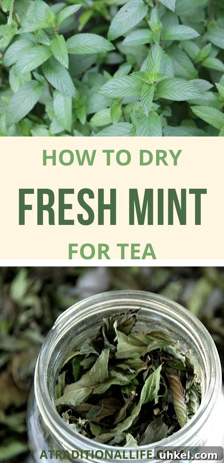 How to Grow and Dry Mint Leaves for Perfect Tea 5 fresh and dried mint for making tea