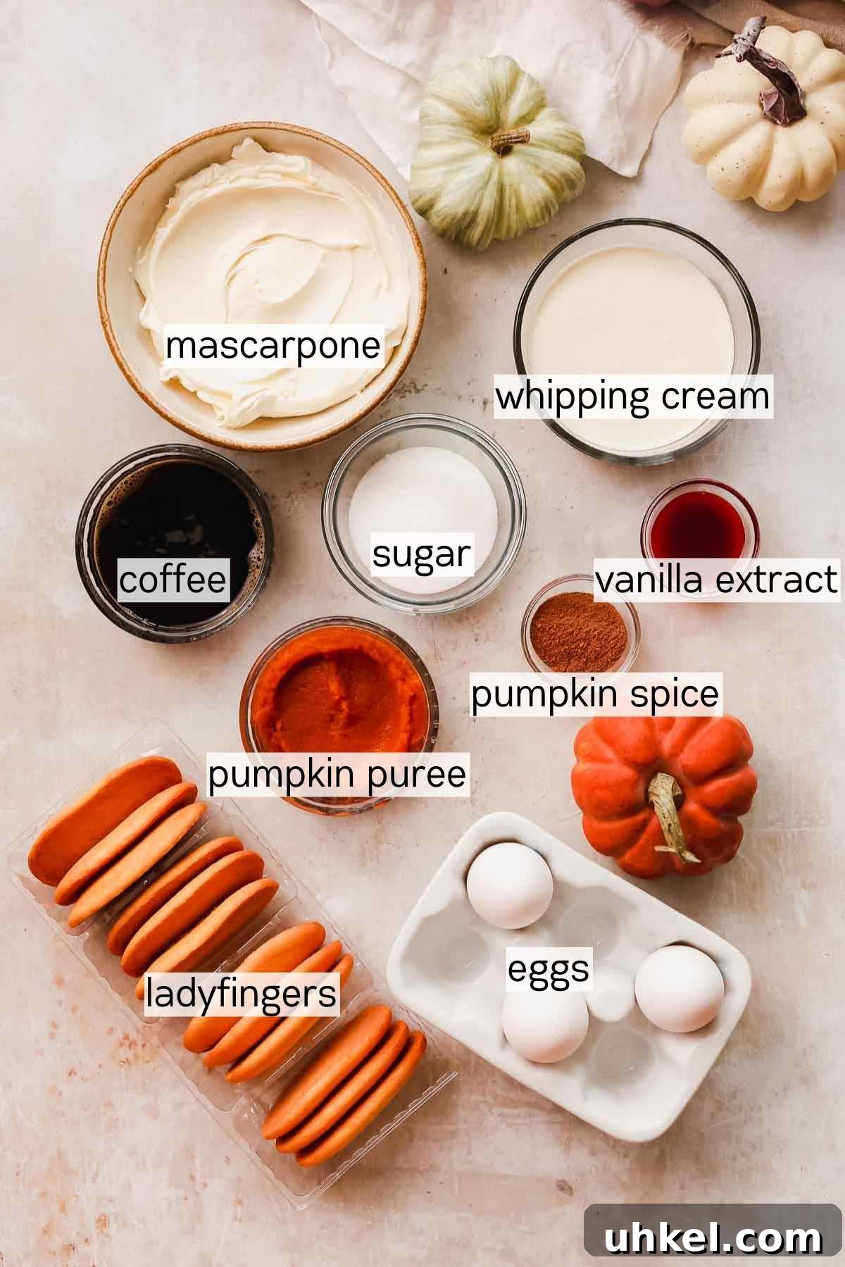Pumpkin Tiramisu Recipe: Creamy Autumn Dessert with Mascarpone 4 ingredients measured out for pumpkin tiramisu