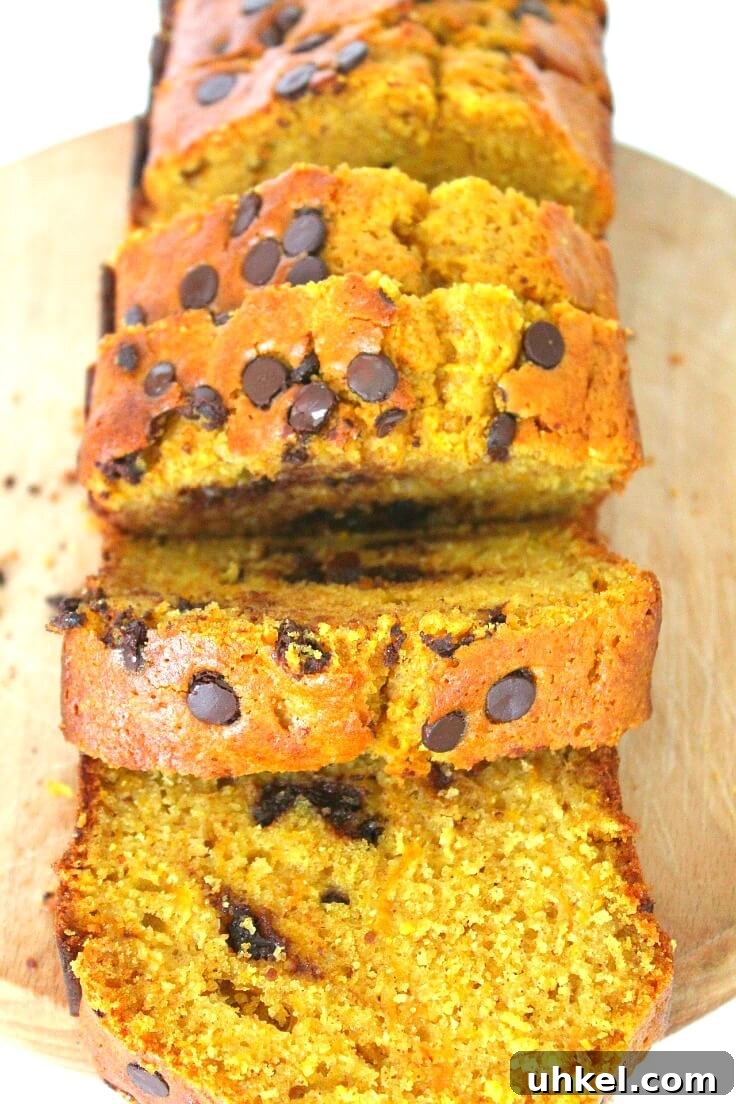 Chocolate Chip Pumpkin Bread recipe