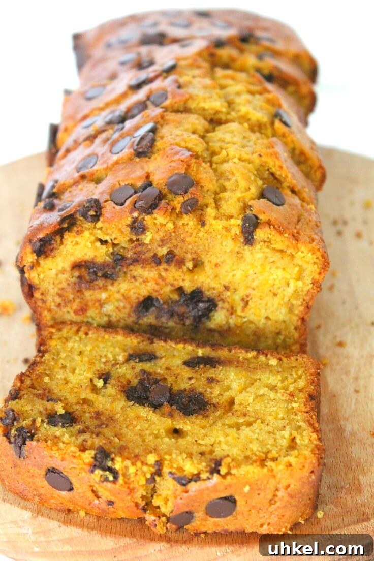 Chocolate pumpkin bread