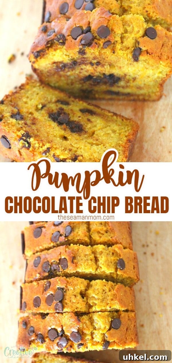 Chocolate chip pumpkin bread