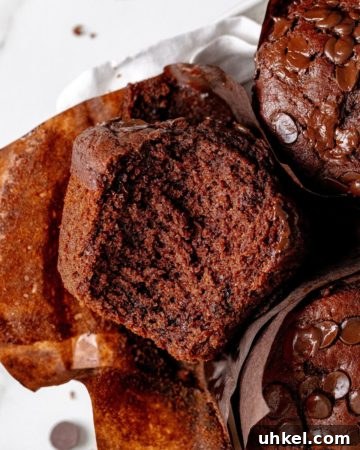 Double Chocolate Muffins