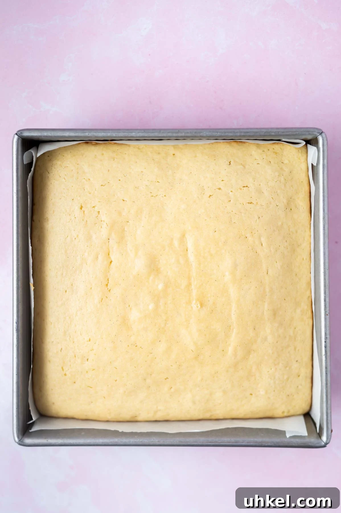 baked vanilla cake layer in parchment lined 8x8 pan